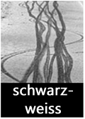 schwarz-weiss-Bilder